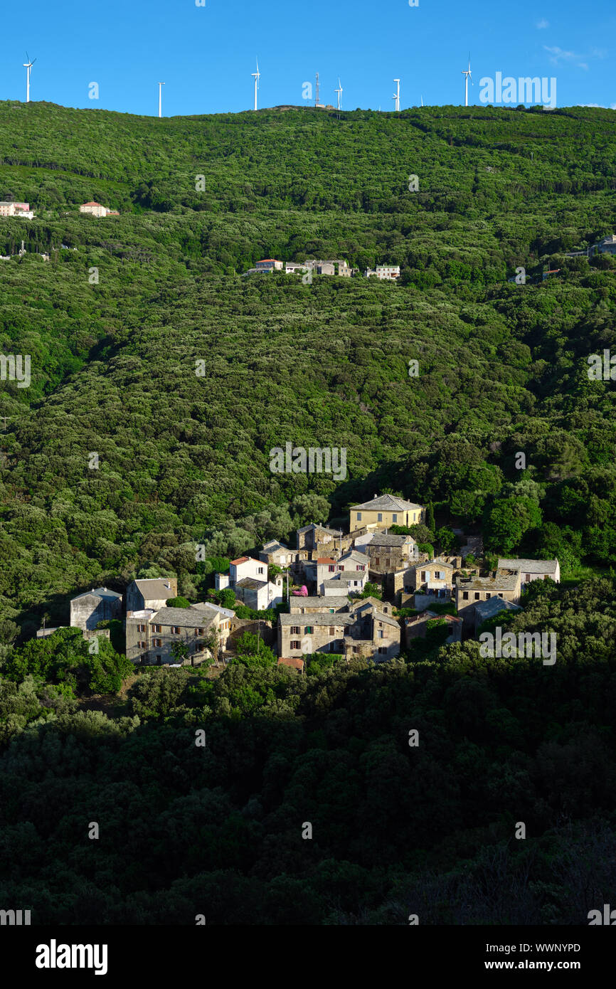 Cocinco village entouré de verdure à Ersa, Cap Corse, Corse, Haute-Corse France. Banque D'Images