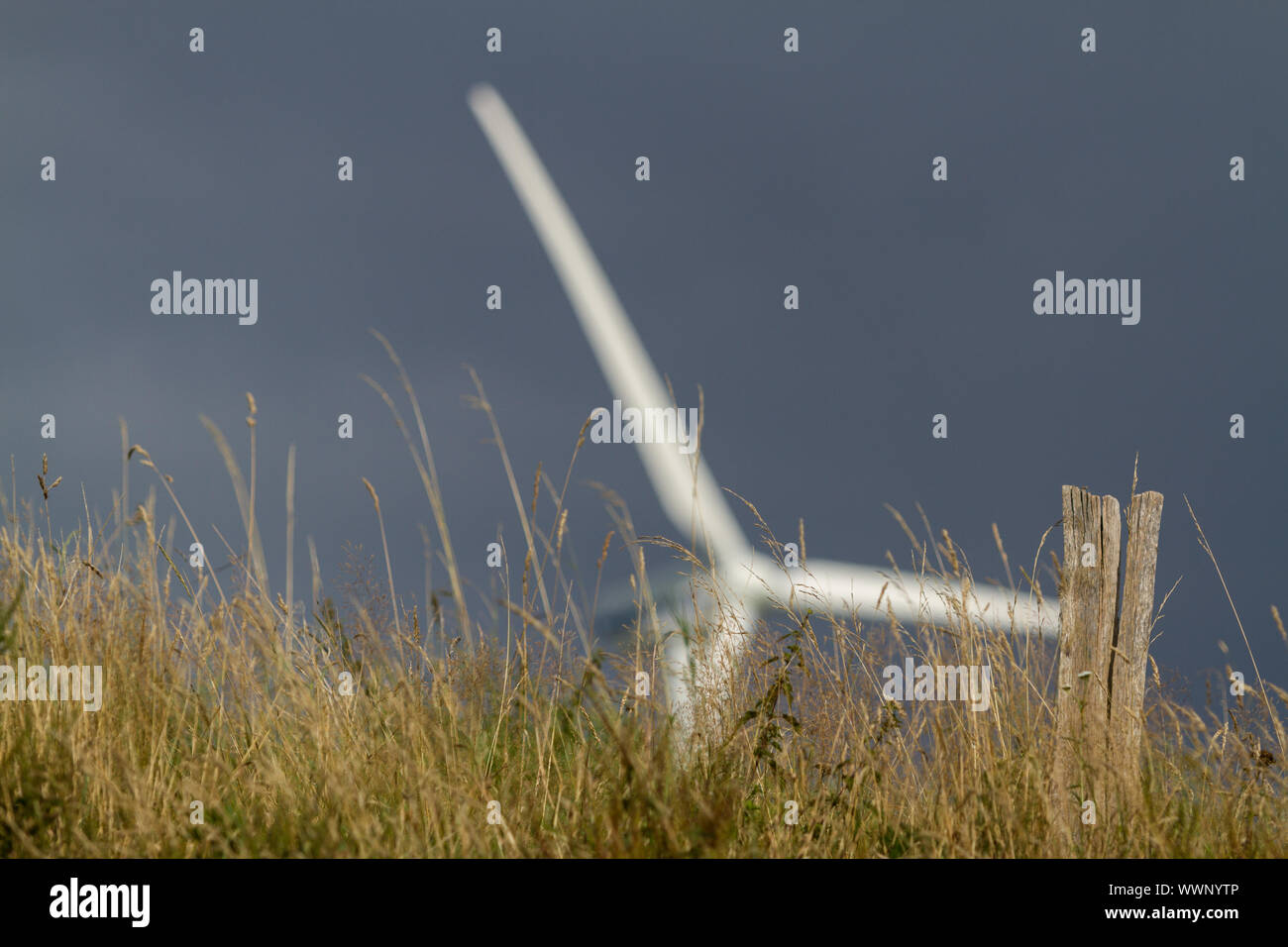 Génération de l'énergie des éoliennes Banque D'Images