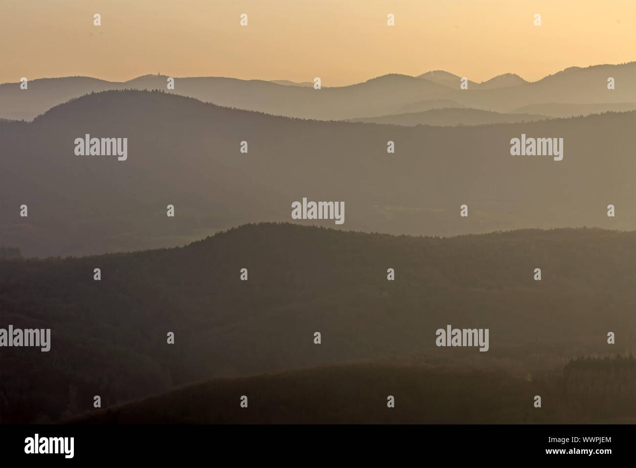 Forêt du Palatinat Banque D'Images