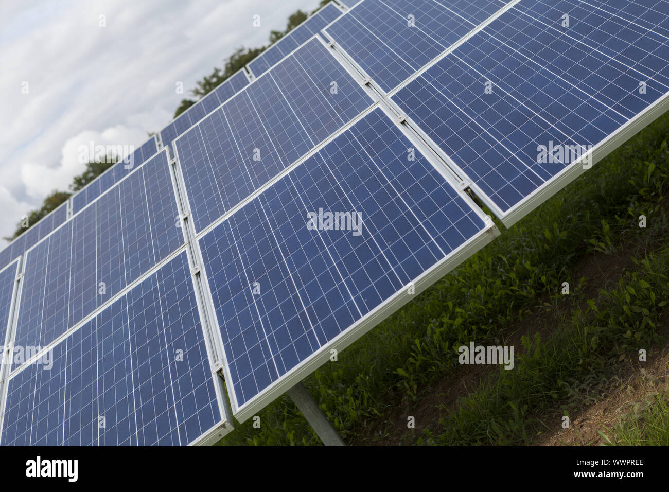 Cellules solaires dans un greenfield solar park Banque D'Images