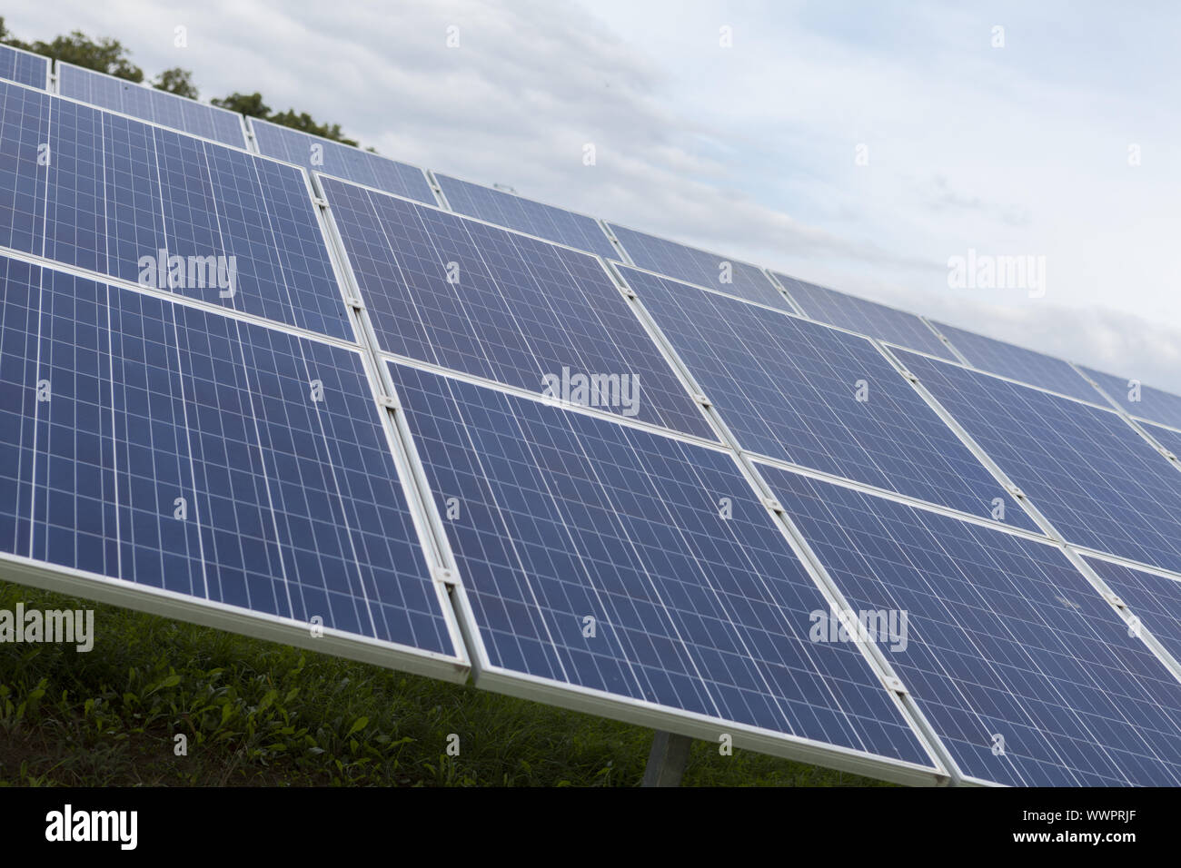 Cellules solaires dans un greenfield solar park Banque D'Images