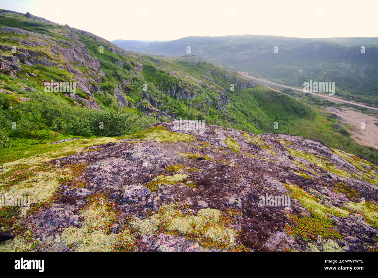 Toundra en Laponie Banque D'Images