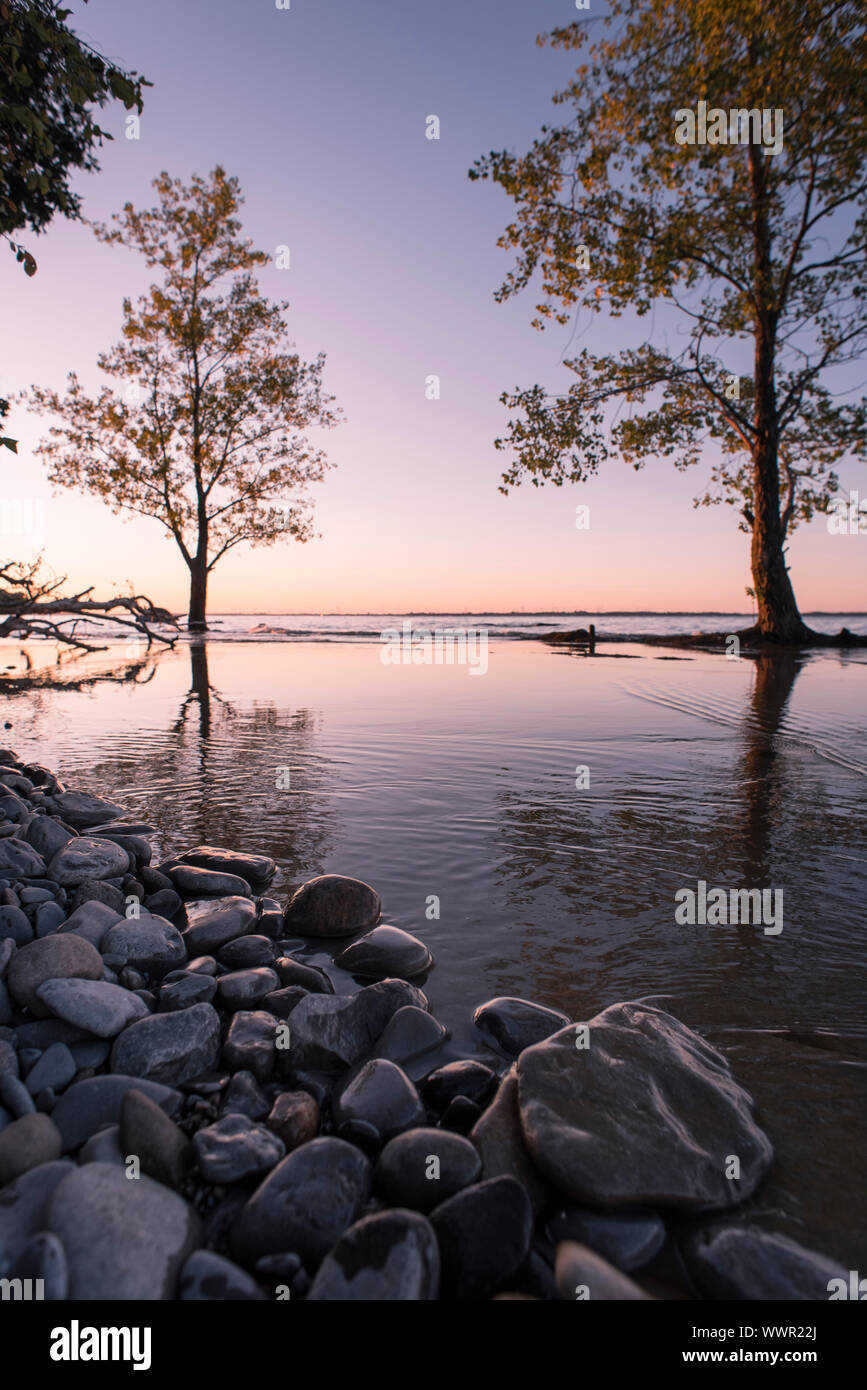 Lever du soleil d'été sur le lac Ontario avec des arbres en arrière-plan. Banque D'Images