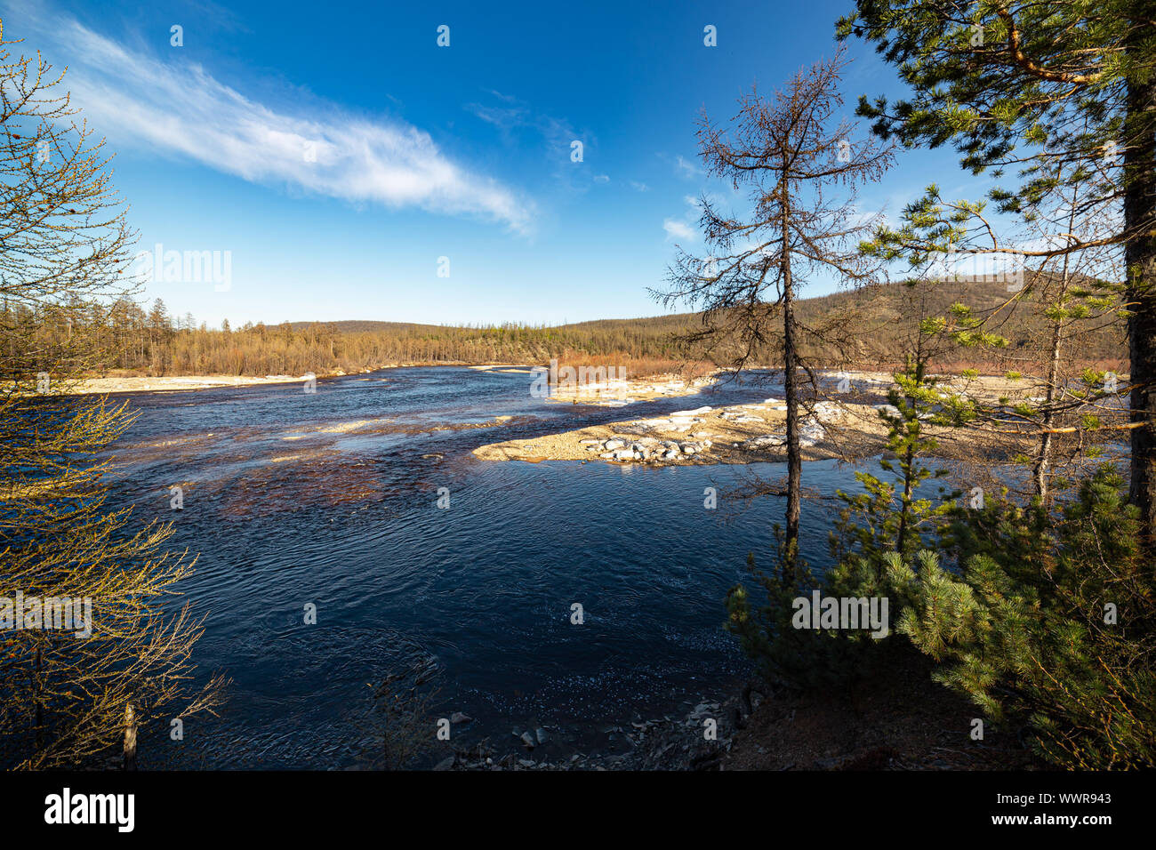 Paysage de printemps sur la rivière Chulman, Sud Iakoutie (Sakha), Russie Banque D'Images