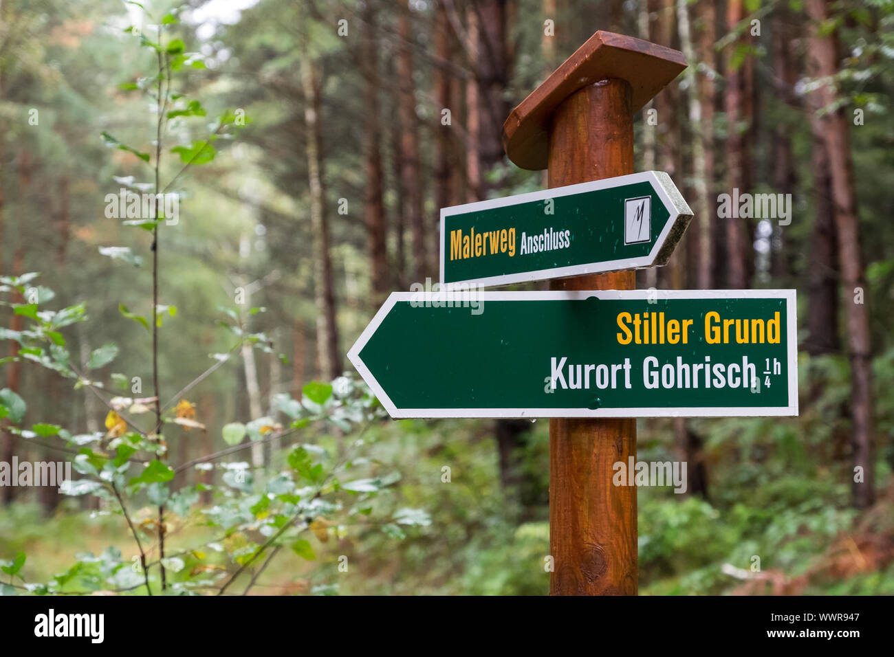Les panneaux pour l'Elbsandsteingebirge réseau de sentiers de randonnée Banque D'Images