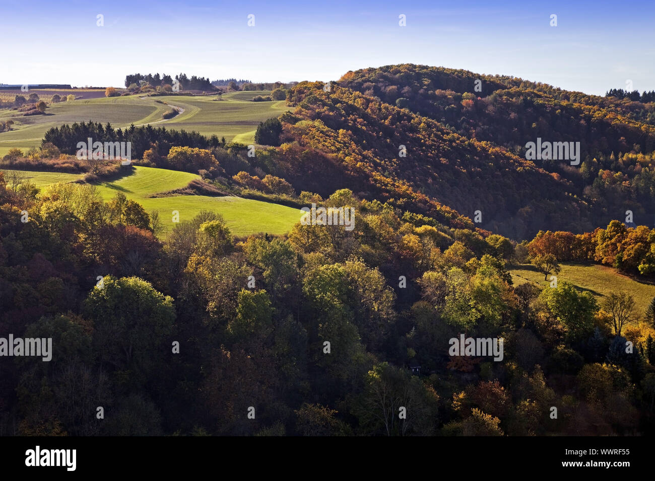 Paysage d'automne, Monreal, Eifel, Rhénanie-Palatinat, Allemagne, Europe Banque D'Images