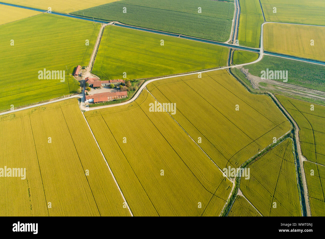 Vue aérienne de rizières et ferme en Italie, panorama de vallée du Po Banque D'Images