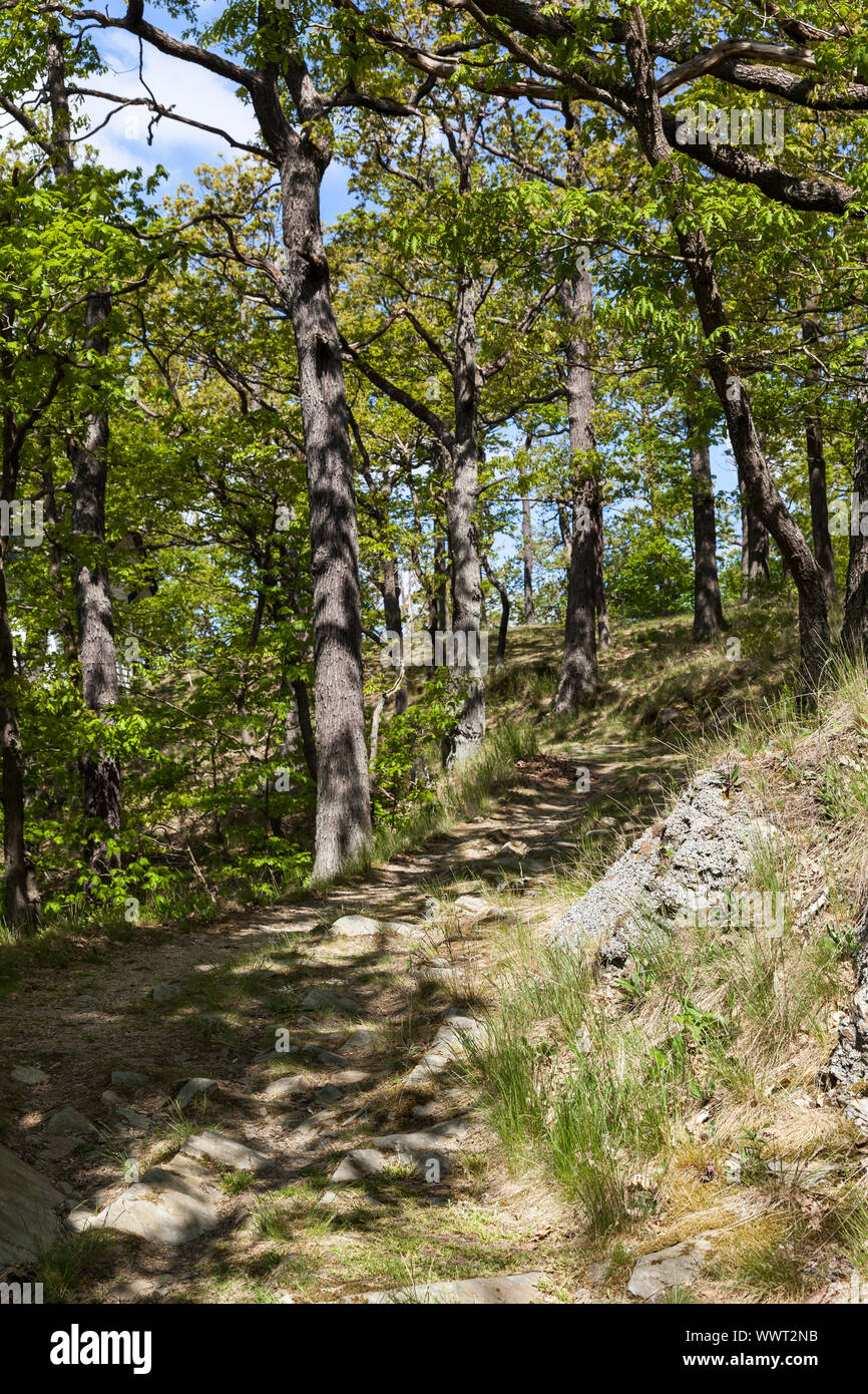 Sentier de randonnée longue distance Harz Selketal-Stieg Banque D'Images