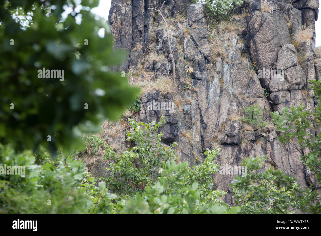 Vue sur les roches dans la vallée de Bodetal Banque D'Images