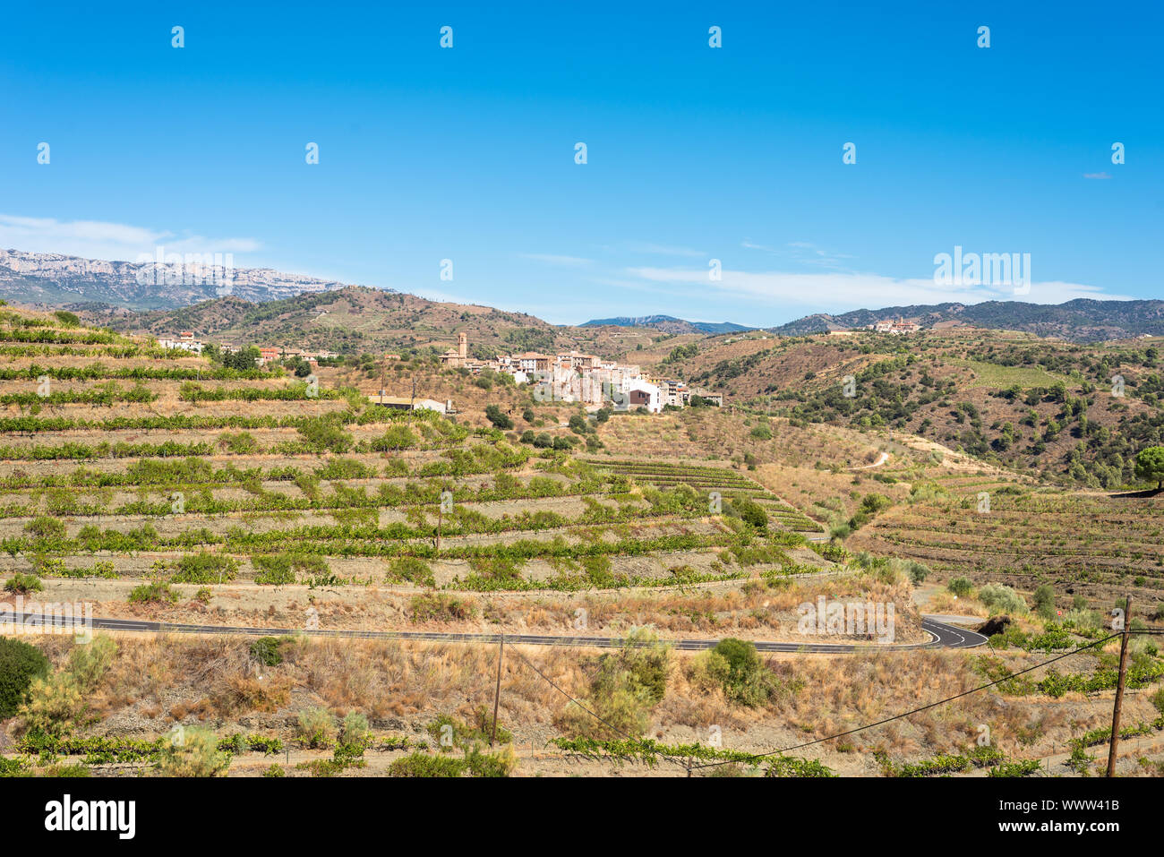 Vignobles et vigne dans les collines du comté de Priorat, Espagne Banque D'Images