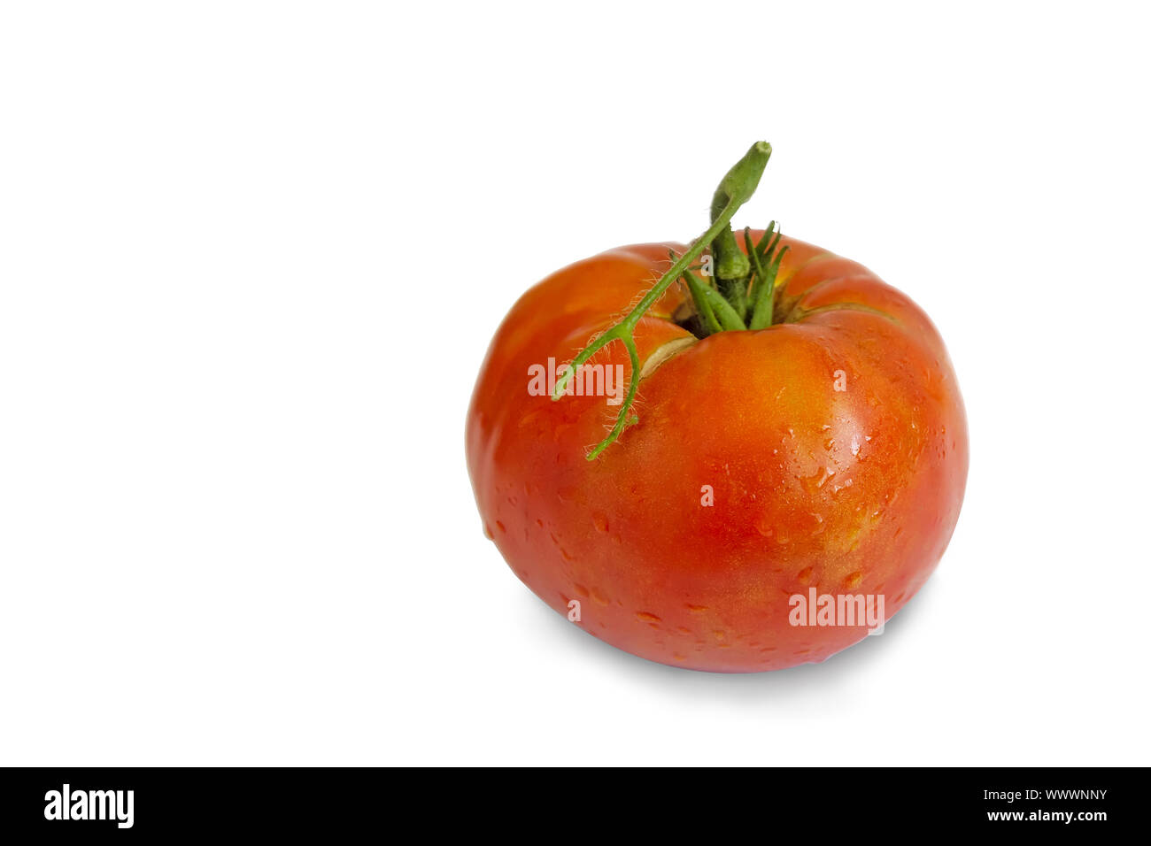 Tomates mûres sur un fond blanc. Banque D'Images