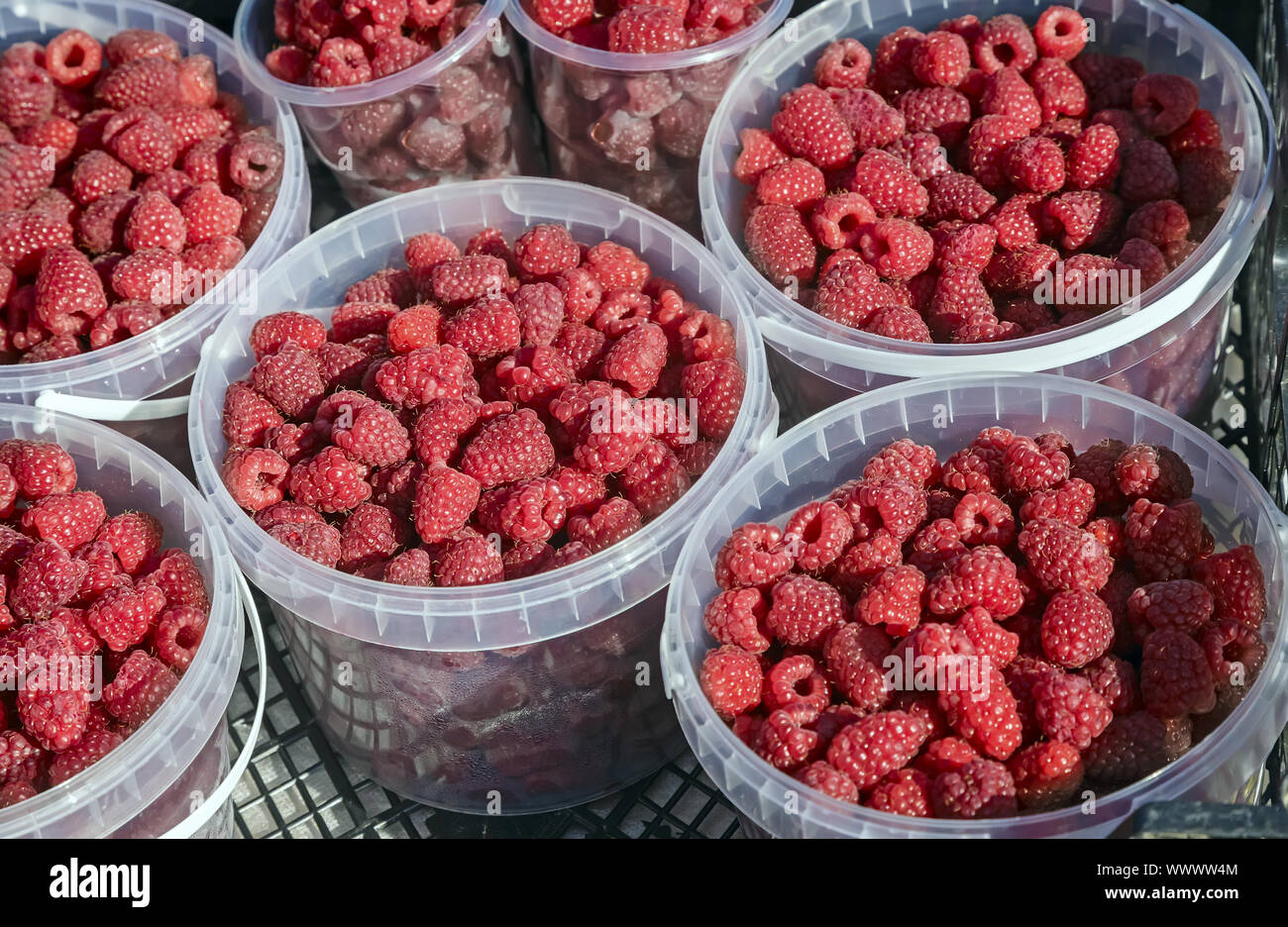 Les framboises dans des contenants pour la vente. Banque D'Images