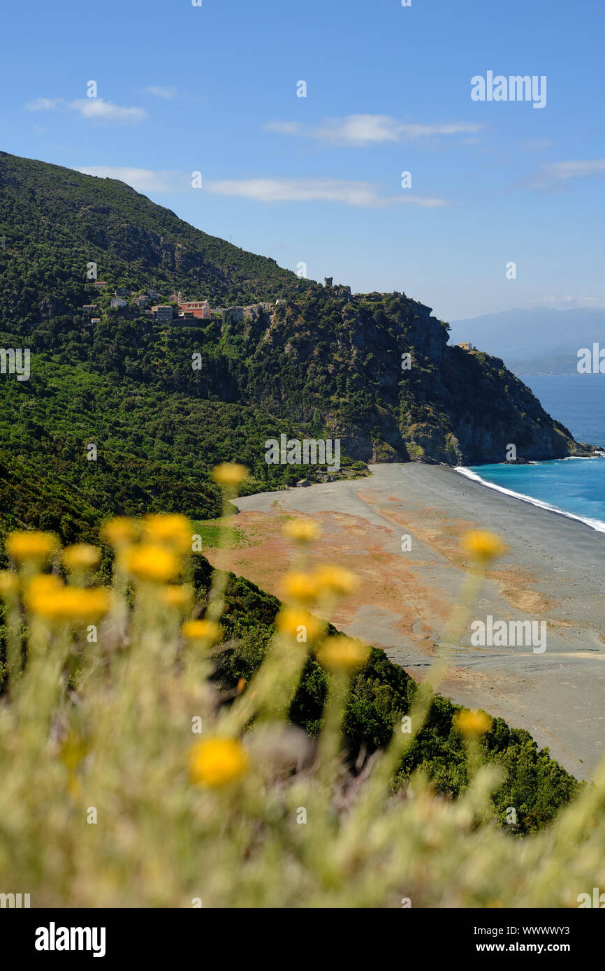 Nonza village perché et plage paysage dans le Cap Corse Haute Corse France avec des fleurs jaunes à l'avant-plan. Banque D'Images