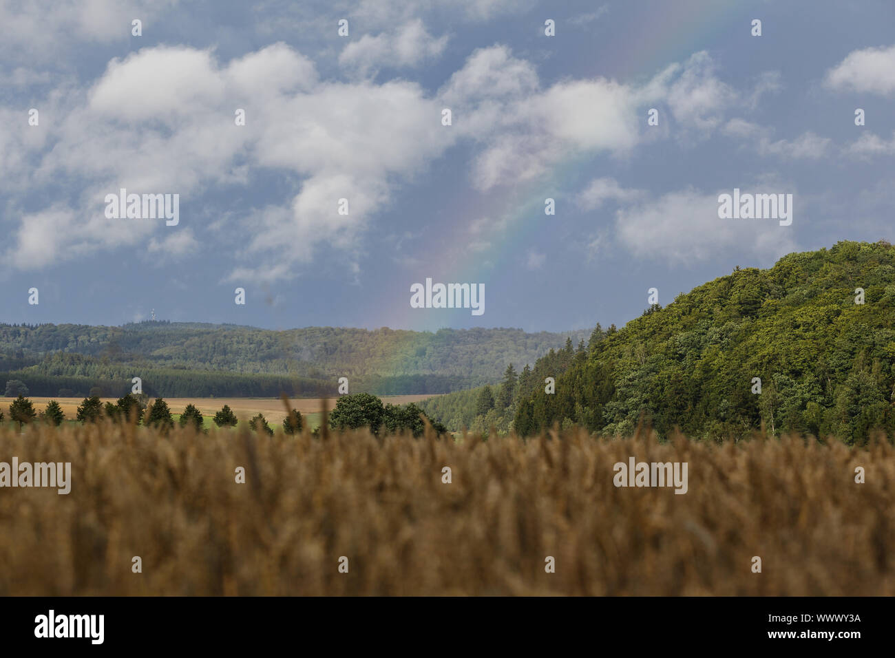 Photo de paysage du Harz avec rainbow Banque D'Images