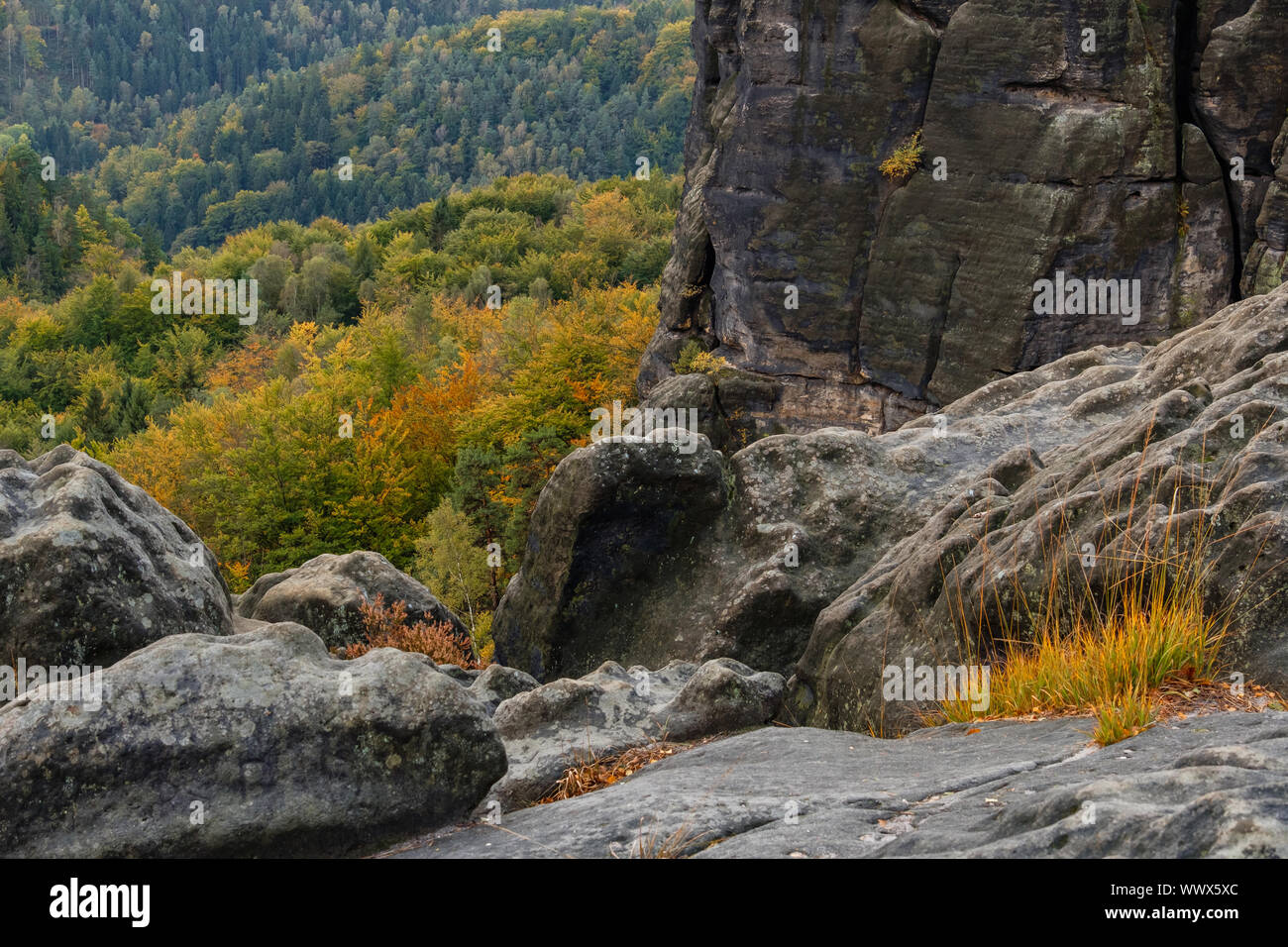 L'automne dans les montagnes de grès de l'Elbe Région Schrammsteine Bad Schandau Banque D'Images