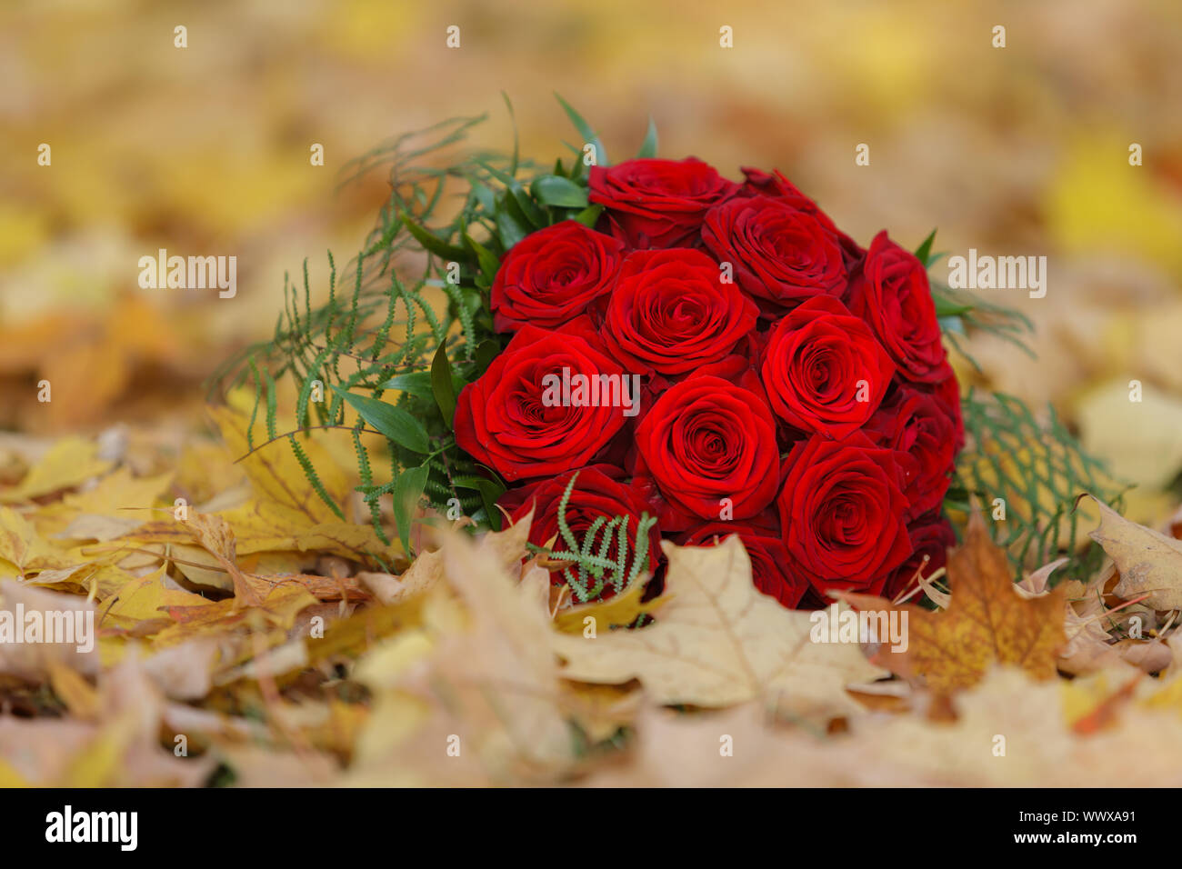 Bouquet de roses rouges comme pour le mariage Banque D'Images