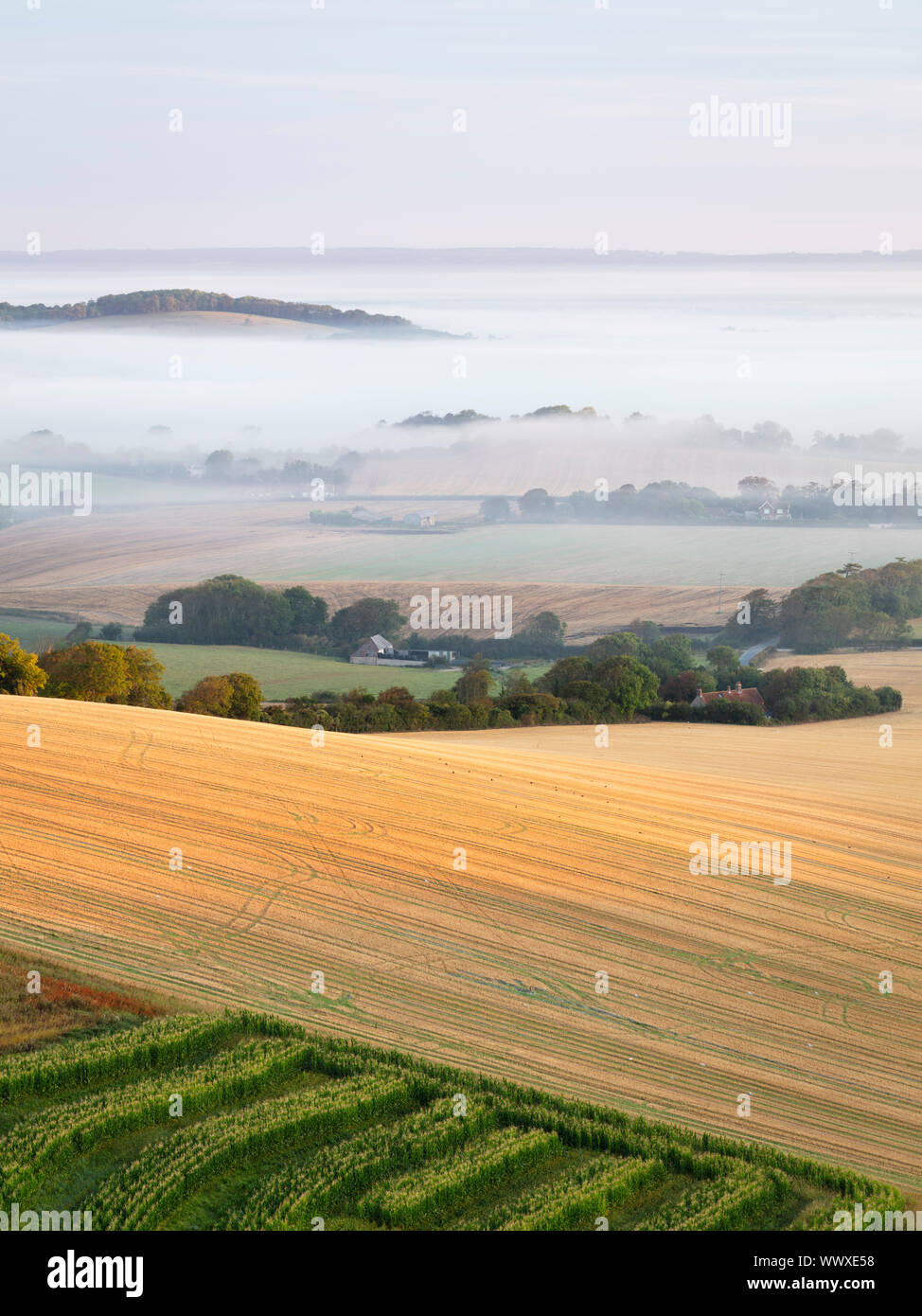 Belle brume matinale dérive sur le parc national des South Downs near Lewes Banque D'Images