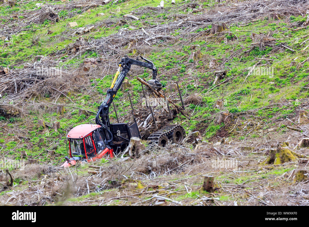 MOFFAT, ÉCOSSE - 15 août 2019 : machine forestière travaillant sur une pente de colline écossais Banque D'Images