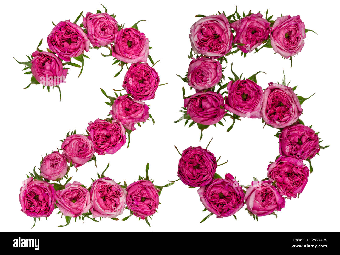Chiffre arabe 25, vingt-cinq, de fleurs de rose, rouge isolé sur fond blanc  Photo Stock - Alamy