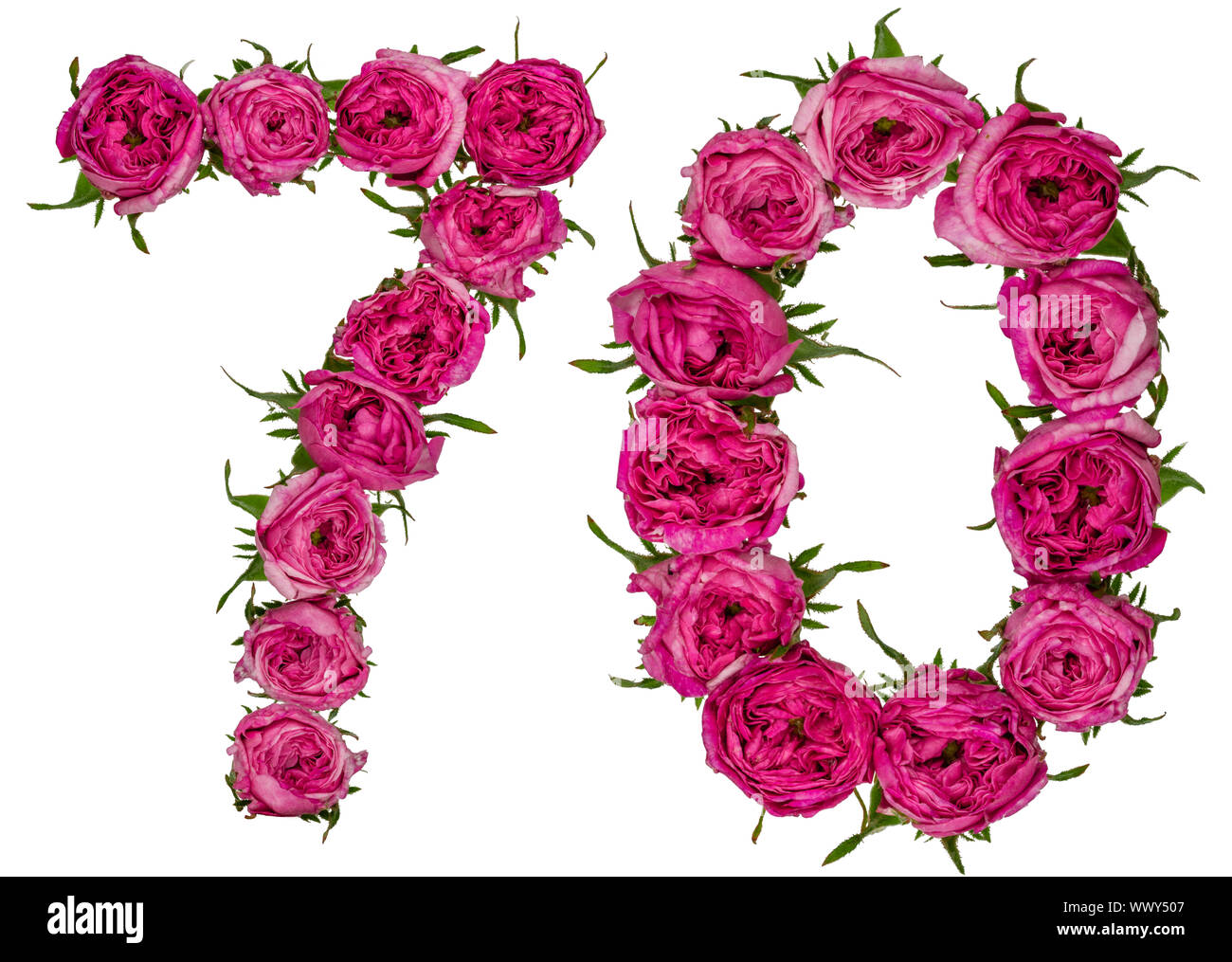 Chiffre arabe 70, 70, 7, de fleurs de rose, rouge isolé sur fond blanc Banque D'Images