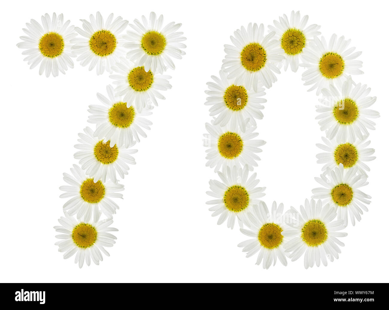 Chiffre arabe 70, soixante-dix, à partir de fleurs blanches de camomille, isolé sur fond blanc Banque D'Images