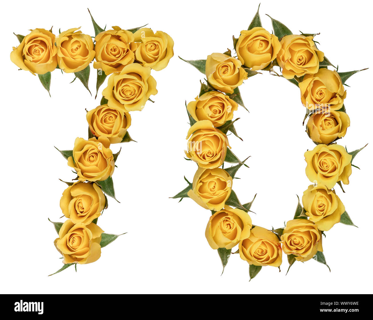 Chiffre arabe 70, soixante-dix, à partir de fleurs de rose, jaune isolé sur fond blanc Banque D'Images