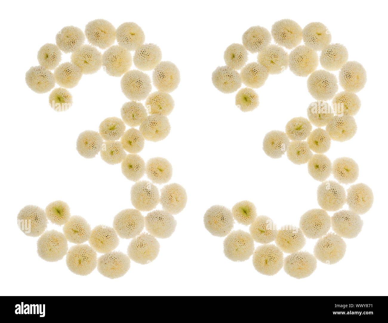 Chiffre arabe 33, trente-trois, à partir de crème fleurs de chrysanthème, isolé sur fond blanc Banque D'Images