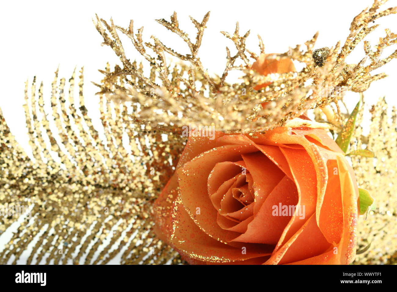 Rose orange avec décoration dorée Banque D'Images