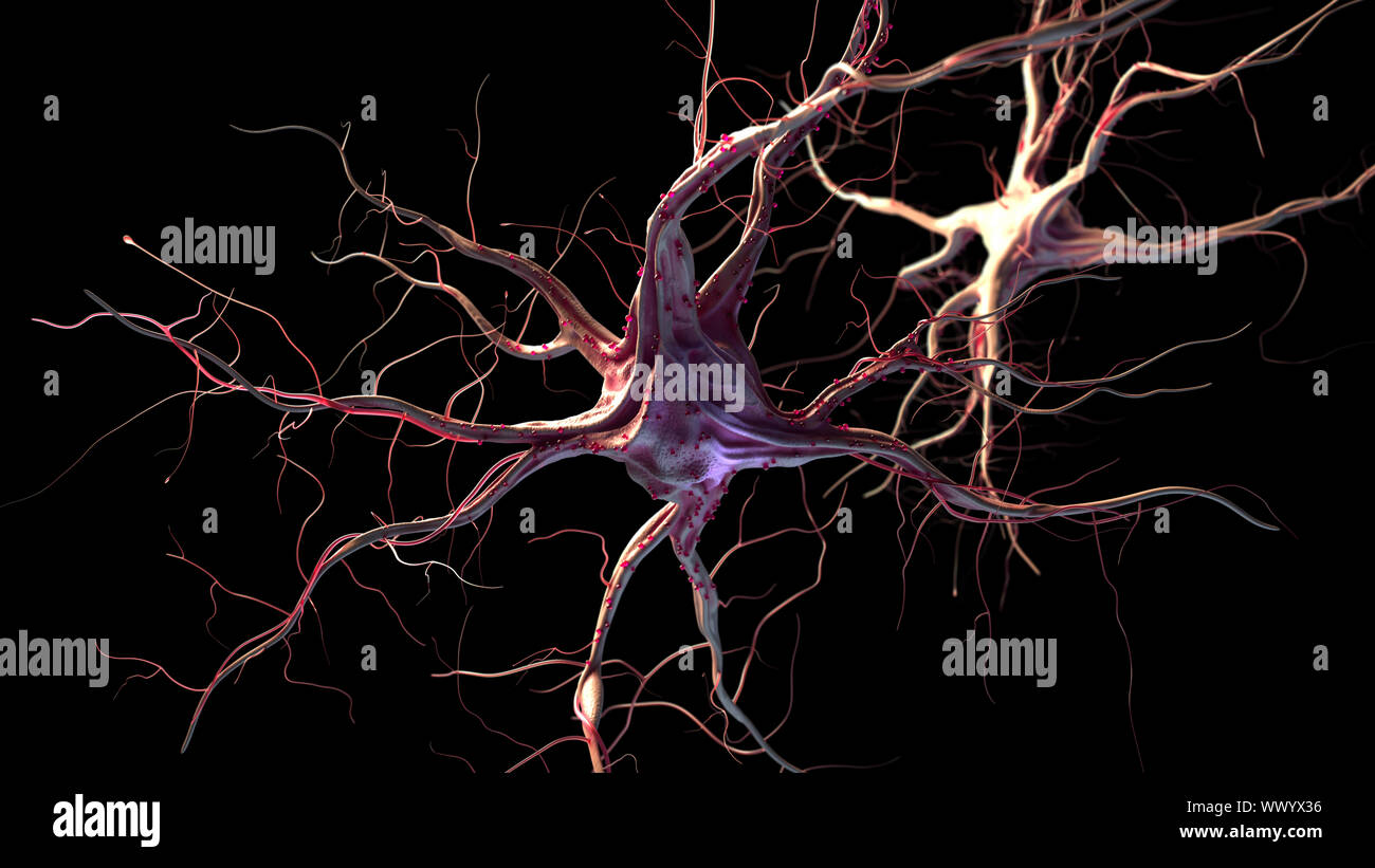 Illustration en rendu 3D de cellules nerveuses Banque D'Images