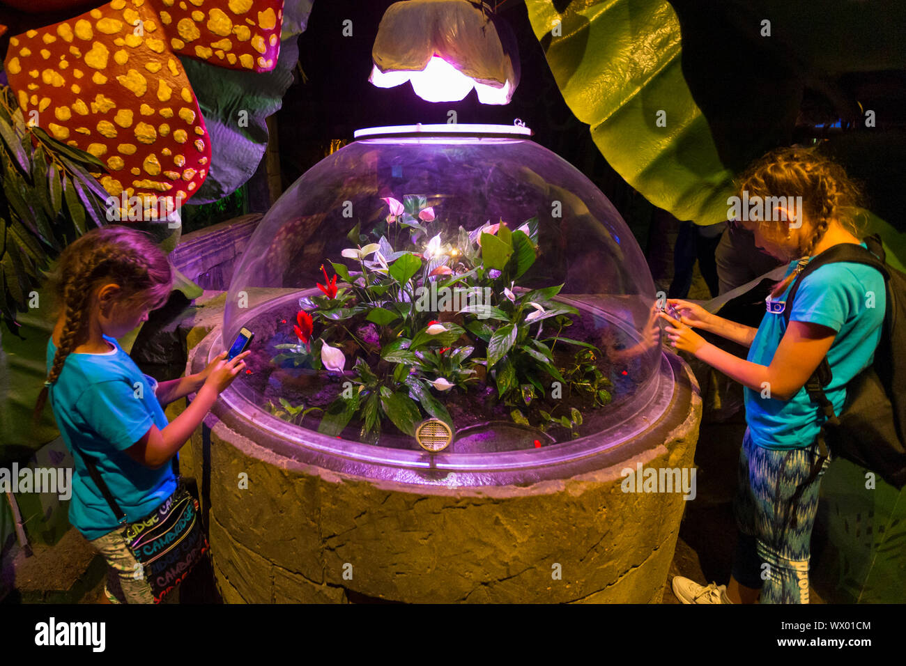 Brighton Sea life aquarium, poison dart frog terrarium, East Sussex, UK Banque D'Images