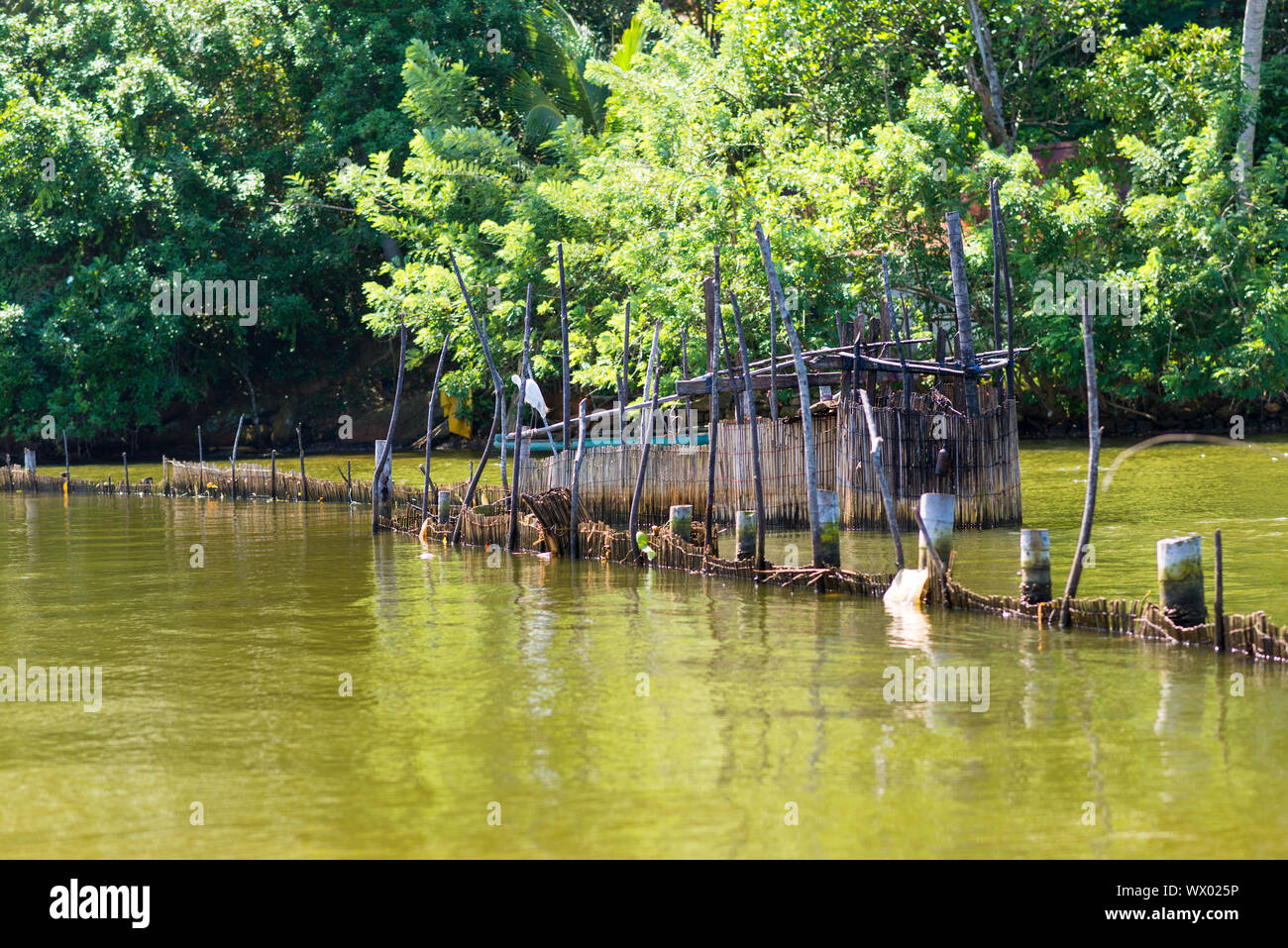 Le Hikkaduwa Lake dans le nord-est de la ville touristique Hikkaduwa Banque D'Images