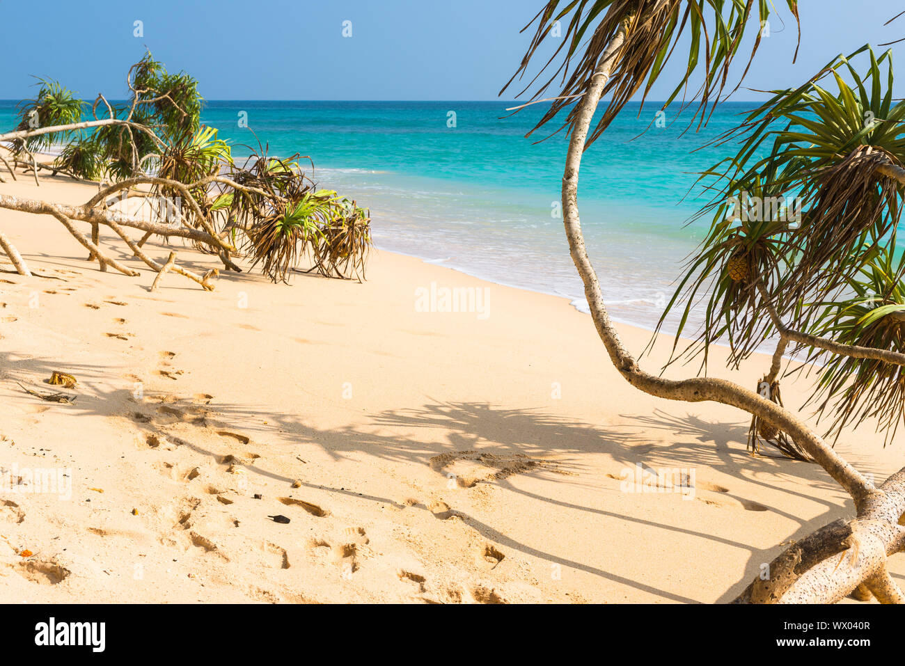 Magnifiques plages sur la côte sud-ouest de Sri Lanka près de Koggala Banque D'Images