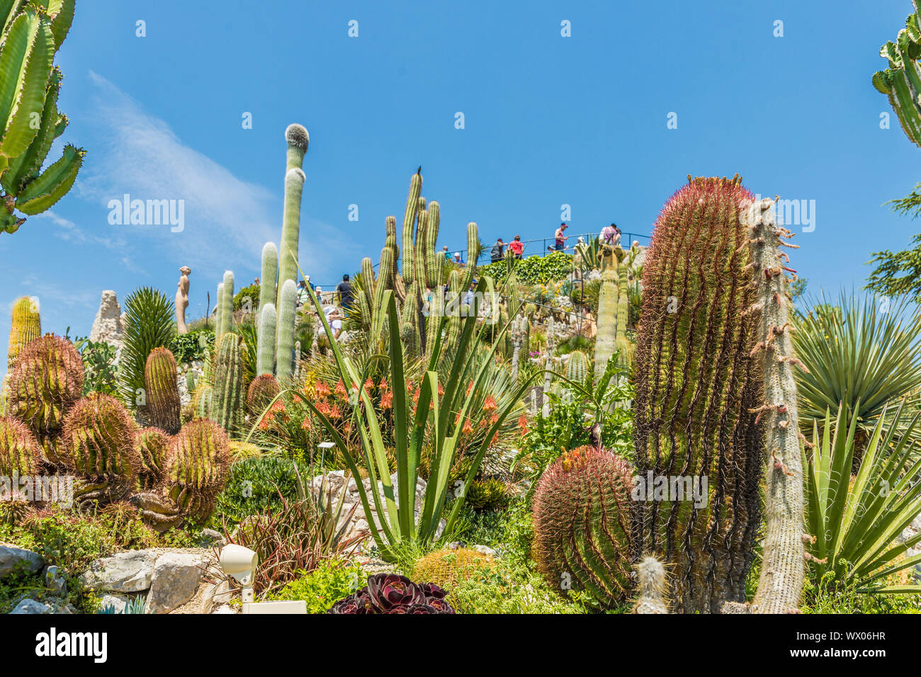 Le jardin de cactus dans le jardin exotique d'Eze, Eze, Alpes Maritimes, Provence Alpes Cote d'Azur, d'Azur, France, Europe, Méditerranée Banque D'Images