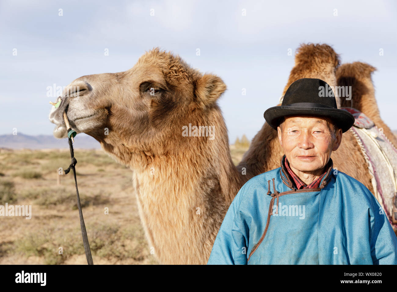Un éleveur de chameaux en Mongolie, Asie centrale, Asie Banque D'Images