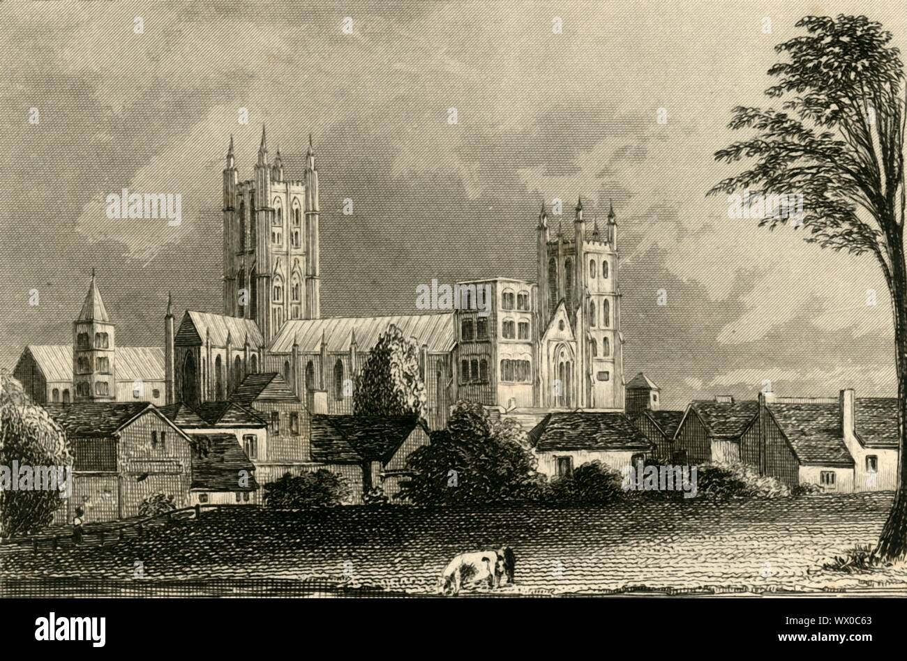 "La Cathédrale de Canterbury, Kent', c1845. Vue de la cathédrale de Canterbury dans le Kent qui a été fondée en 597 AD. Il a été en grande partie reconstruite en style gothique après un incendie en 1174, avec des extensions pour accueillir le flux des pèlerins se rendant sur le tombeau de Thomas Becket. À partir de "curiosités de la Grande-Bretagne. Angleterre &AMP ; Pays de Galles délimitées" par Thomas Dugdale. Banque D'Images