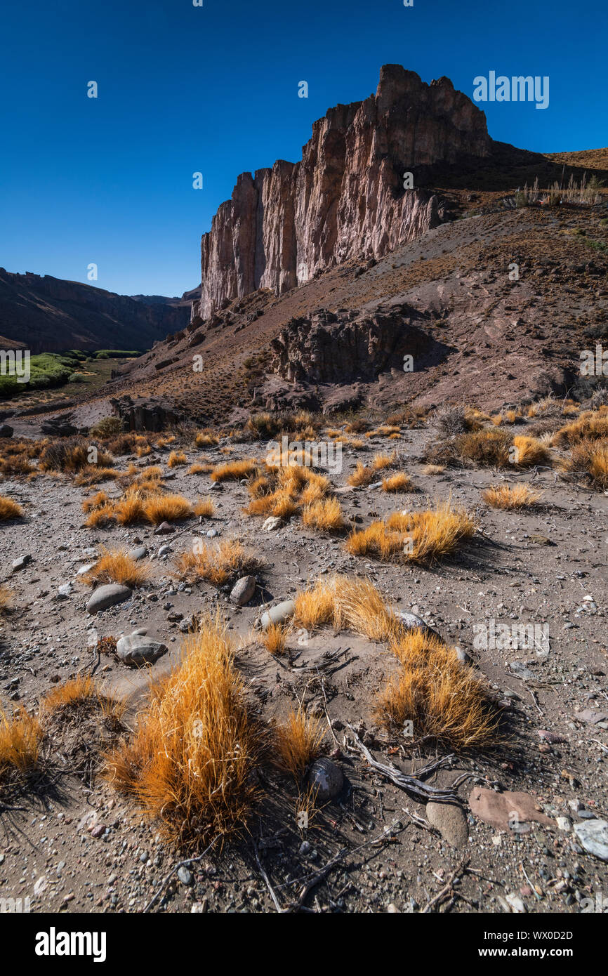 Rio Pinturas Canyon, Grotte des mains, Site du patrimoine mondial de l'UNESCO, en Patagonie, Province de Santa Cruz, Argentine, Amérique du Sud Banque D'Images