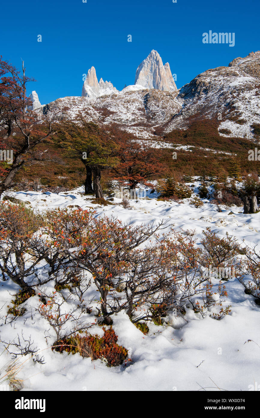 Scène d'automne avec de la neige avec le Mont Fitz Roy et le Cerro Torre, El Chalten, le Parc National Los Glaciares, UNESCO World Heritage Site, Patagonie, Argentine Banque D'Images