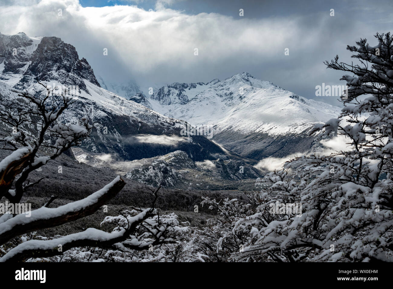 Scène d'hiver au Glacier Piedras Blancas, Parc National Los Glaciares, UNESCO World Heritage Site, El Chalten, Patagonie, Argentine, Amérique du Sud Banque D'Images
