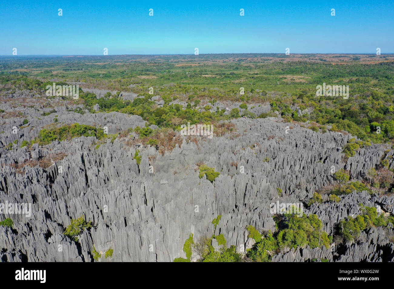 La formation de calcaire karstique au Parc National des Tsingy de Bemaraha, UNESCO World Heritage Site, région de la Tsiribihina, Madagascar, Afrique Banque D'Images