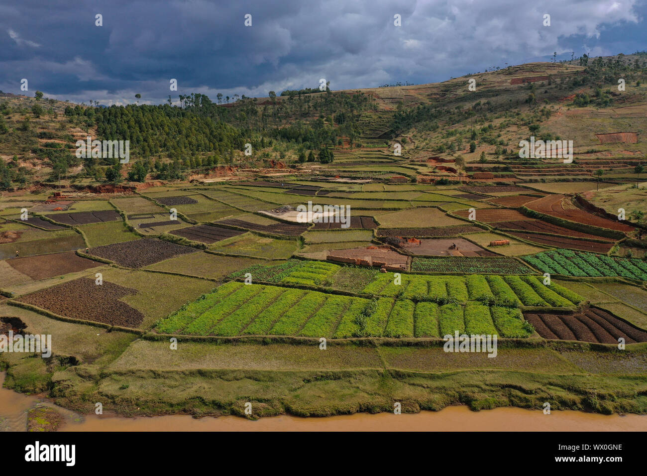 La culture de légumes et la fabrication de briques sur les champs de riz, la route nationale RN7 entre Antsirabe et Antananarivo, Madagascar, Afrique Banque D'Images