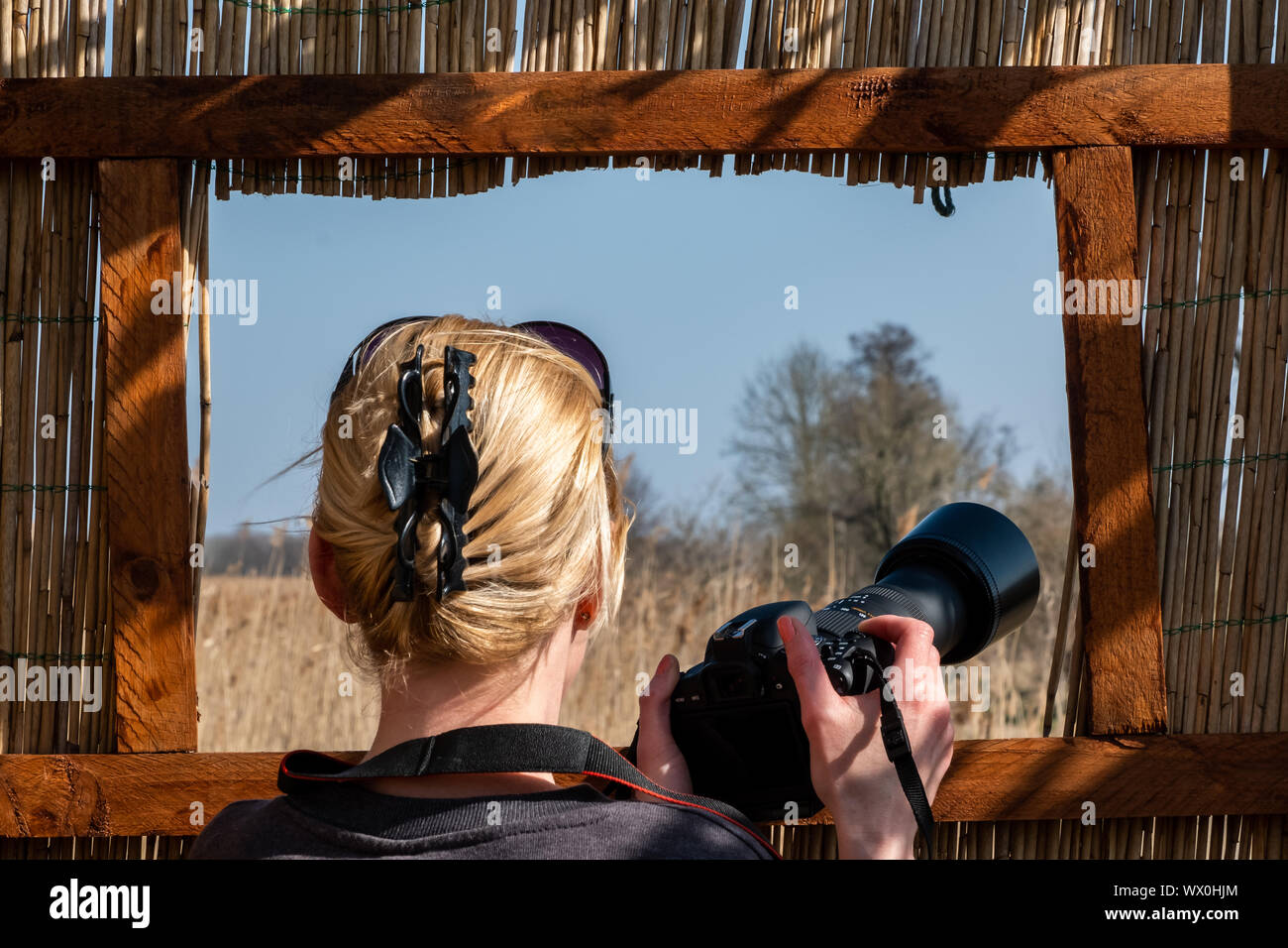 Nature Photographie Photographie du stand d'observation Banque D'Images