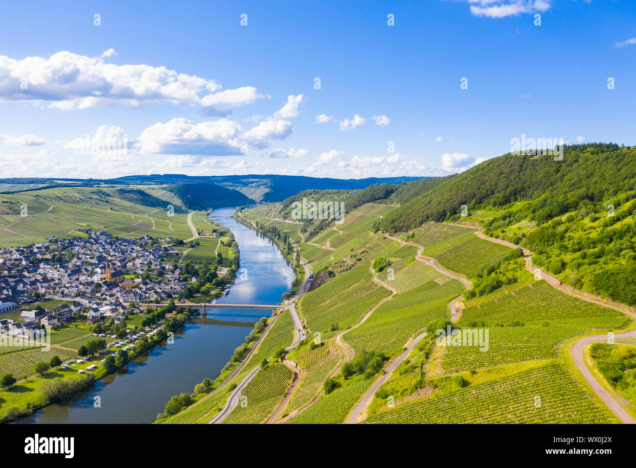 La Moselle à Trittenheim, vallée de la Moselle, Rhénanie-Palatinat, Allemagne, Europe Banque D'Images
