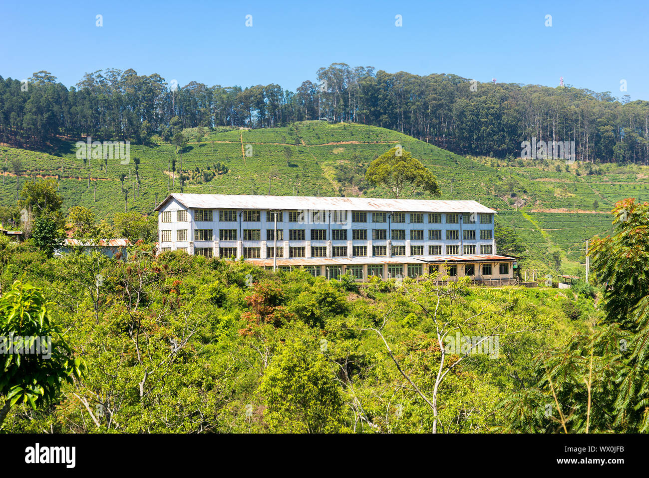 Bâtiment typique d'une usine de thé dans les hautes terres du Sri Lanka Banque D'Images