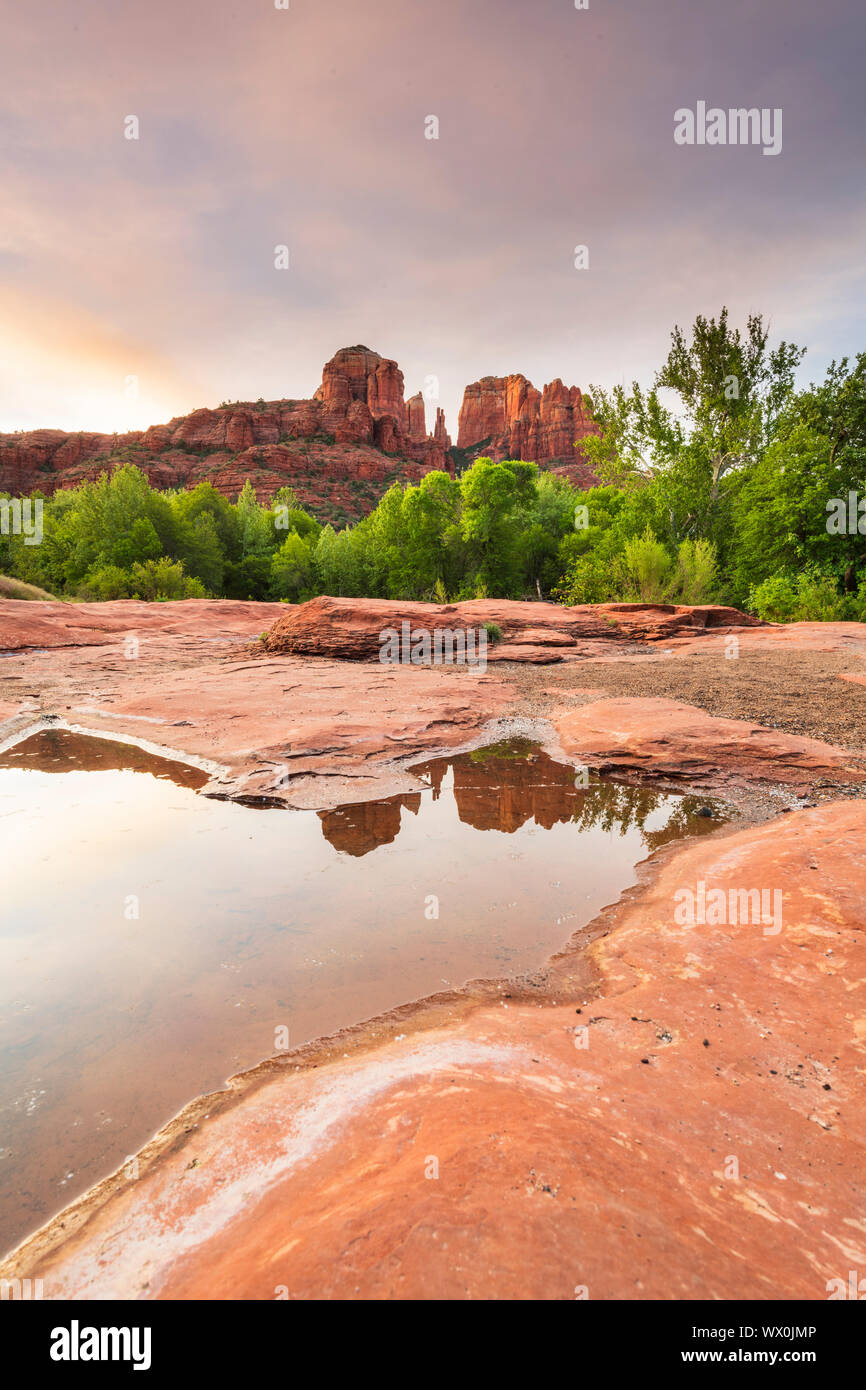 Cathedral Rock vu de Red Rock State Park, Sedona, Arizona, États-Unis d'Amérique, Amérique du Nord Banque D'Images