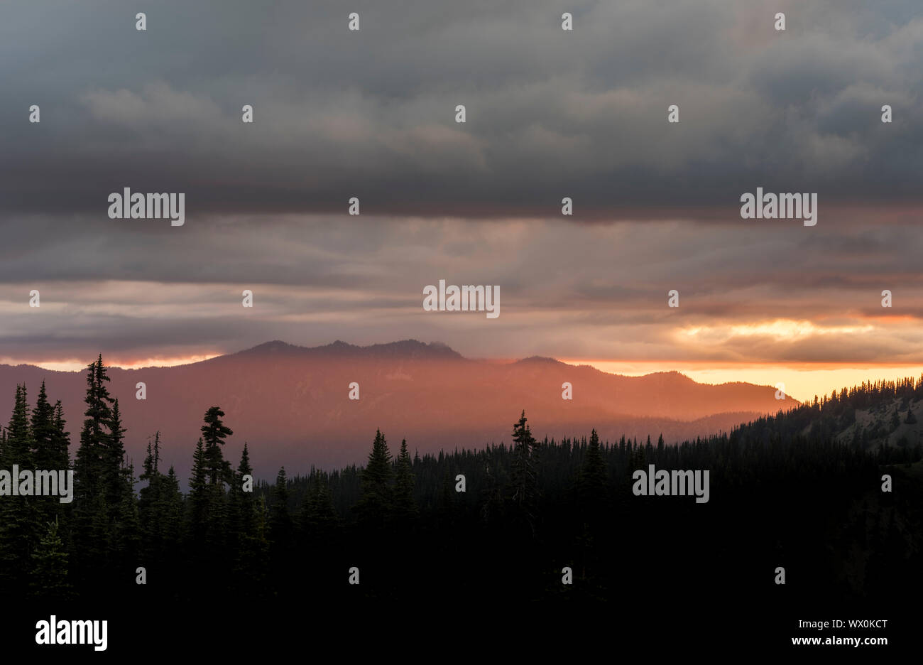 Lumière du soir sur les sommets de montagnes, vue d'Hurricane Ridge, Olympic National Park, l'UNESCO, l'État de Washington, États-Unis d'Amérique, Amérique du Nord Banque D'Images