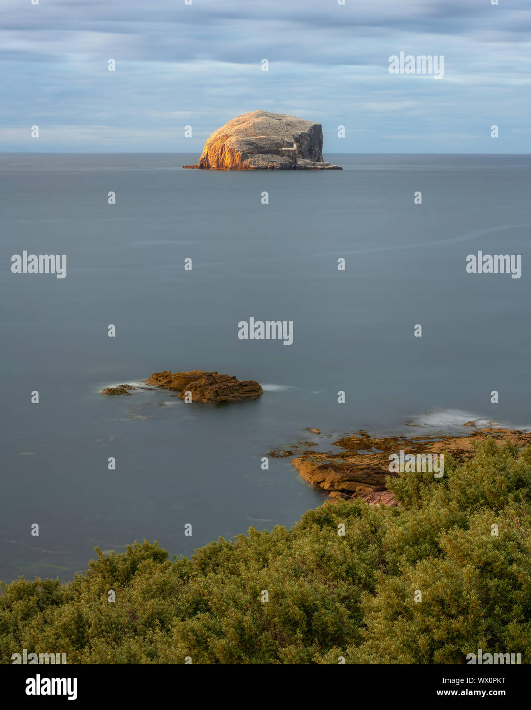 Bass Rock en début de soirée la lumière, Firth of Forth, East Lothian, Ecosse, Royaume-Uni, Europe Banque D'Images