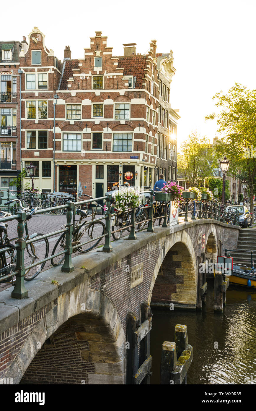 Heure d'or lumière sur de vieux immeubles à pignons, Brouwersgracht, Canal, Amsterdam, Hollande du Nord, les Pays-Bas, Europe Banque D'Images