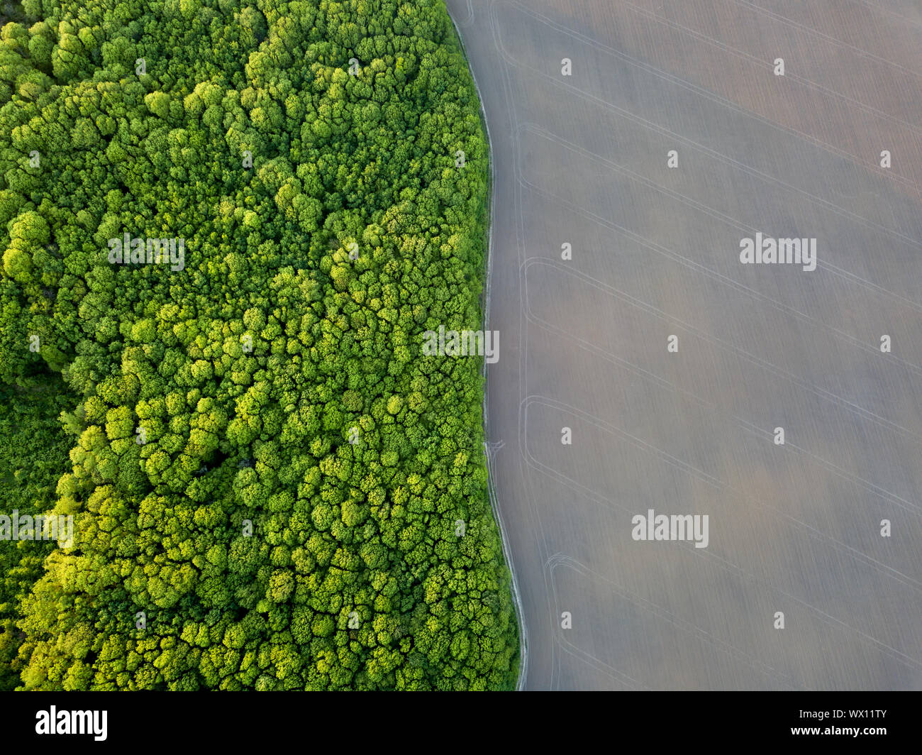 Vue aérienne du drone, une vue d'ensemble de la forêt avec des espaces verts et de terrain agricole avec la route en les divisant Banque D'Images