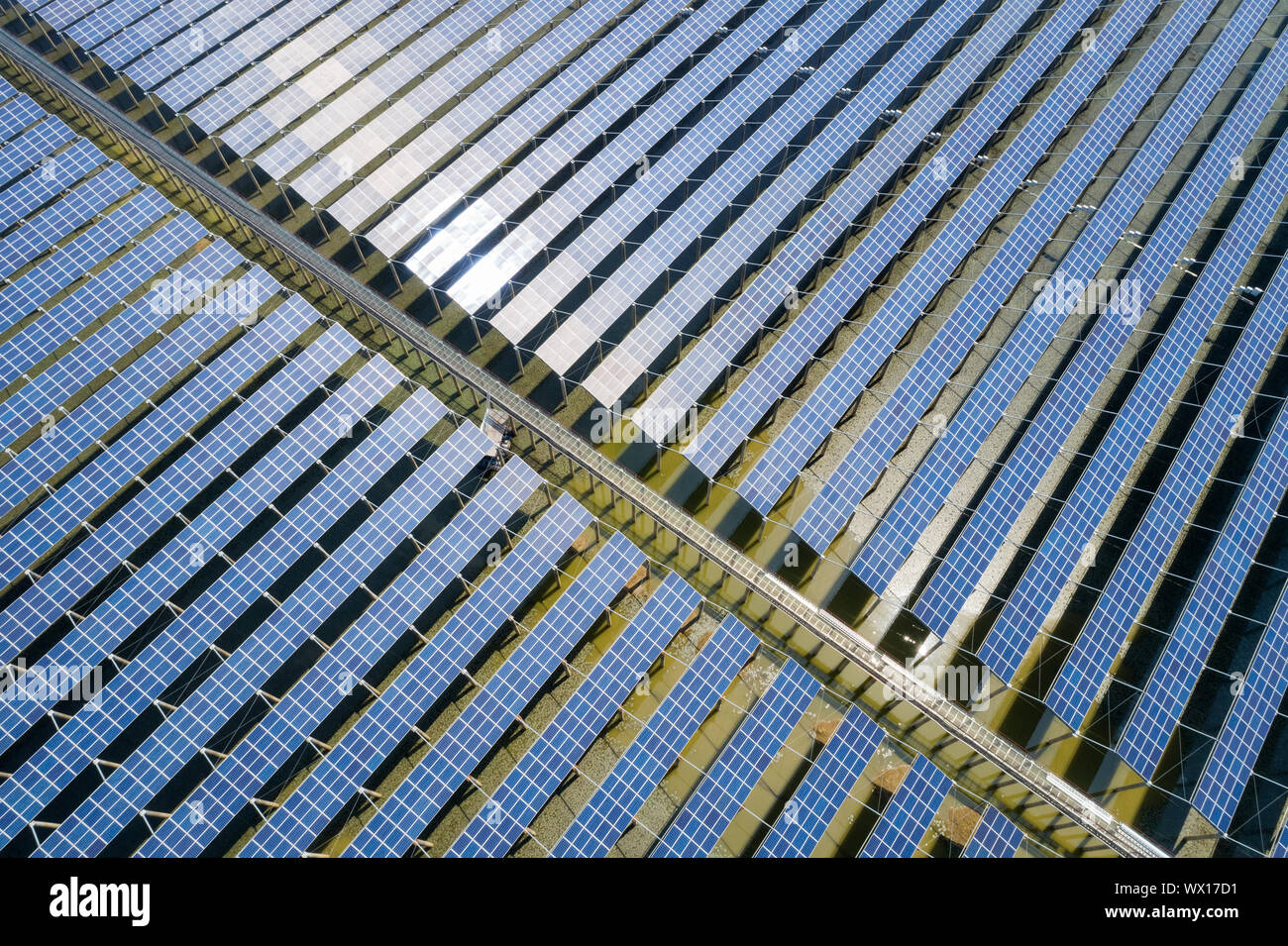 Vue aérienne de panneaux d'énergie solaire Banque D'Images