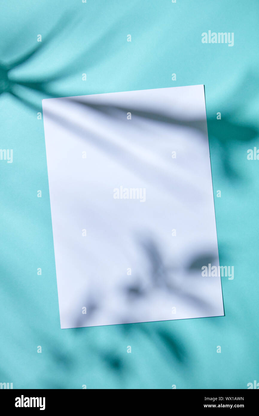 Papier blanc et de l'espace pour le texte sur fond de papier bleu avec des feuilles d'ombre Banque D'Images